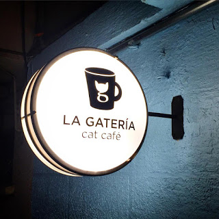 Công Ty Dịch Vụ Thiết Kế Thi Công Hộp Đèn Quảng Cáo Tại TP HCM